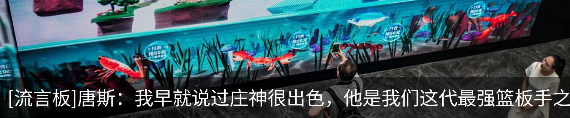 最新动态